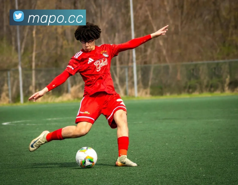 多媒体互动体验